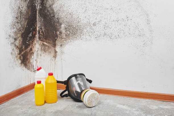 Best Emergency Mold Removal  in Buckeye Lake, OH