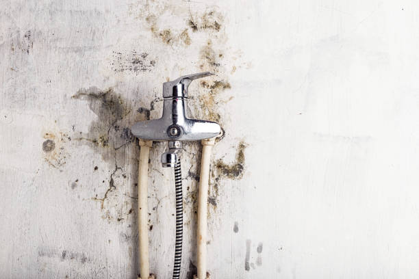 Buckeye Lake, OH Mold Removal Company