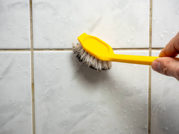 Best Local Mold Removal Service  in Buckeye Lake, OH