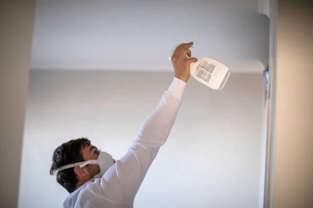Best Local Mold Removal Service  in Buckeye Lake, OH
