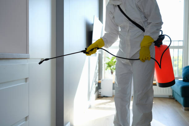 Crawl Space Mold Removal in Buckeye Lake, OH